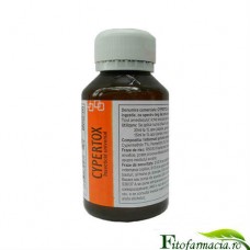 Insecticid de contact si de ingestie impotriva puricilor - 140 mp - Cypertox Forte 100 ml